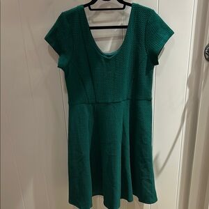 Anthropologie Fit & Flare Dress